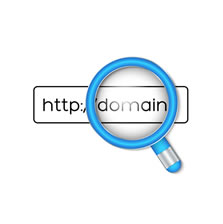 Buscar Dominio